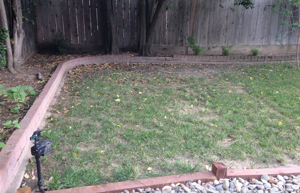 mss backyard sprinkler coverage