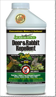 rabbit repellent